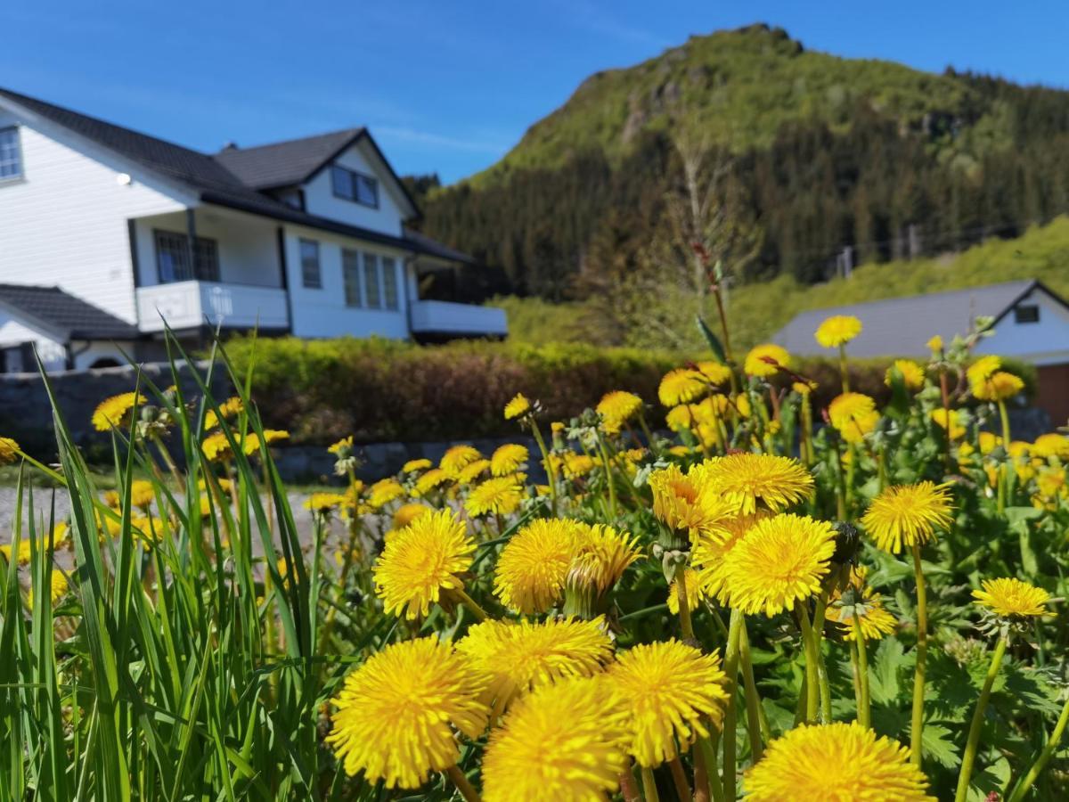 Banpim Hillside Lofoten With Jacusszi Gravdal  Luaran gambar
