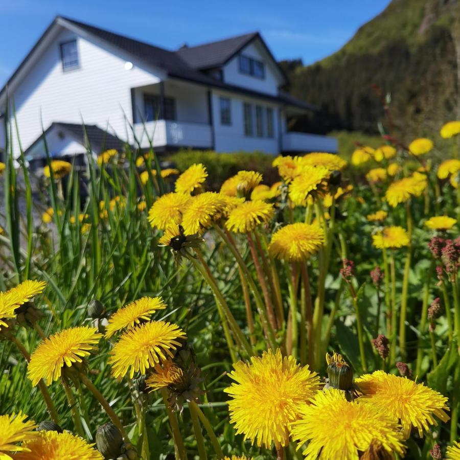 Banpim Hillside Lofoten With Jacusszi Gravdal  Luaran gambar